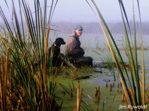 Benefits | Wisconsin Wetlands Association