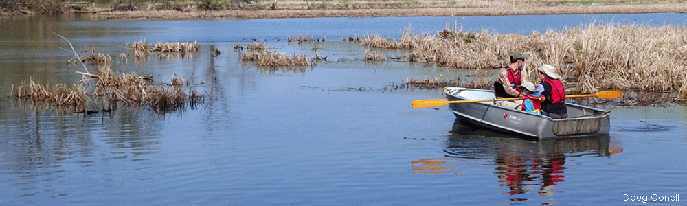 Explore Wisconsin Wetlands | Wisconsin Wetlands Association