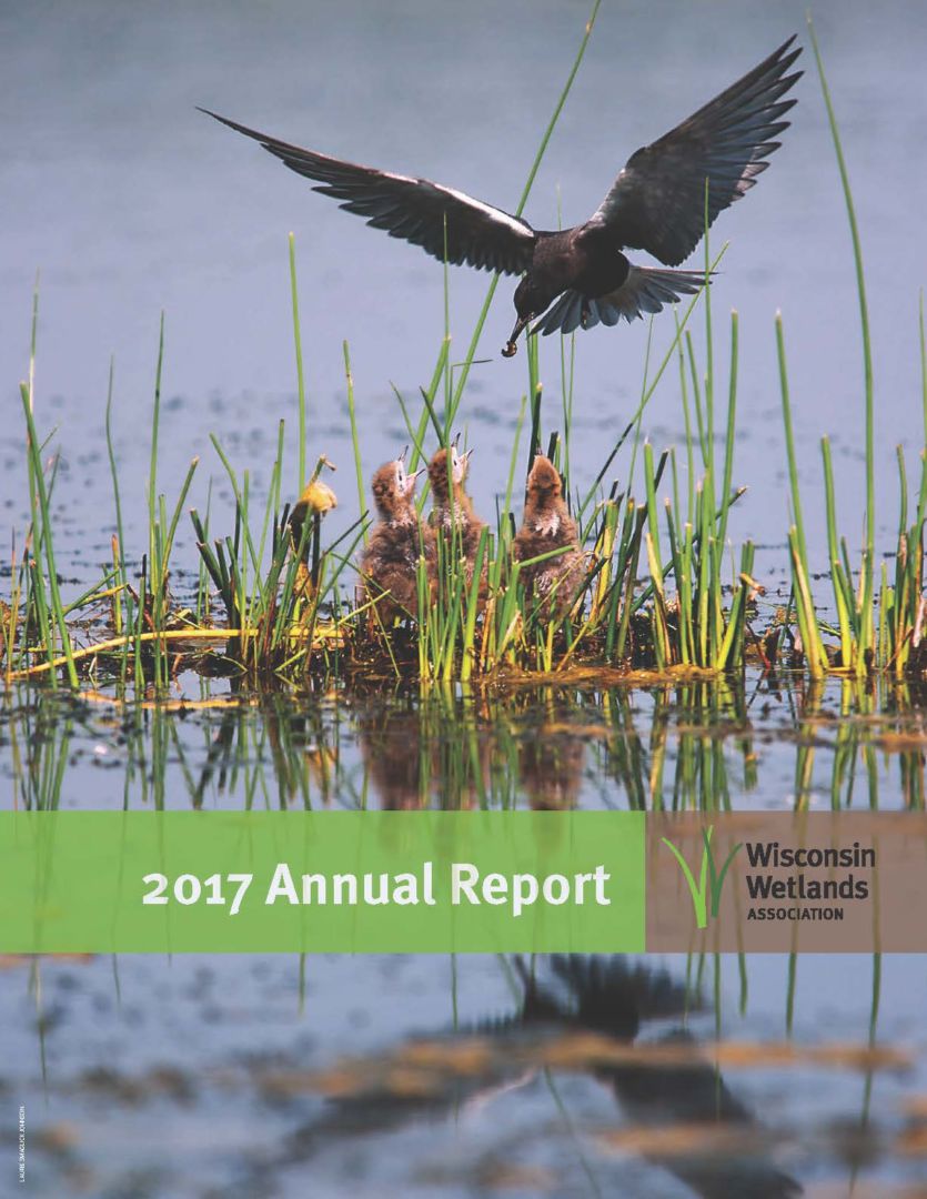 How Does Your Support Of WWA Help Wetlands? | Wisconsin Wetlands ...