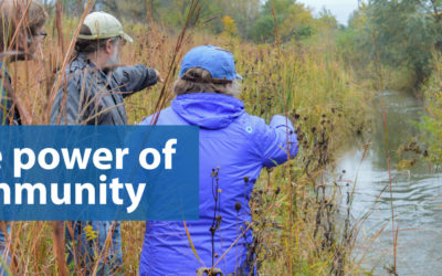 Advancing Wetland Conservation in Wisconsin