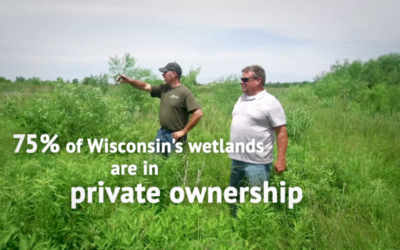 Private landowners play a vital role in caring for wetlands