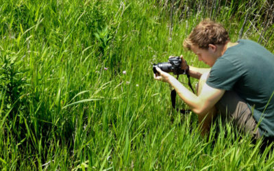 Connecting our wetland community with new virtual series