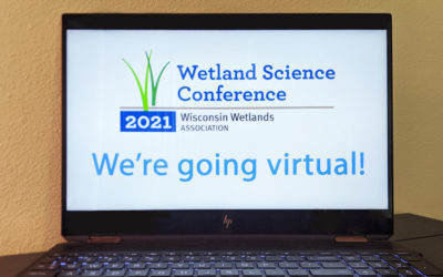 Conference announcement: Wetlands go virtual!