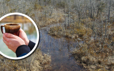 Wetland Coffee Break: Swamp, bog, or fen? An introduction to wetland types of Wisconsin