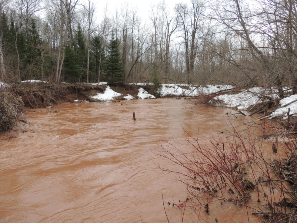 what problems are caused by dredging out wetlands