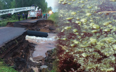 Our legacy of wetland loss: Behind our water problems