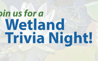 WWA’s 2021 Annual Membership Meeting and Wetland Trivia Night