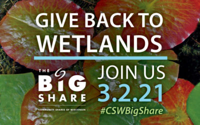 The Big Share 2021: Give back to wetlands!