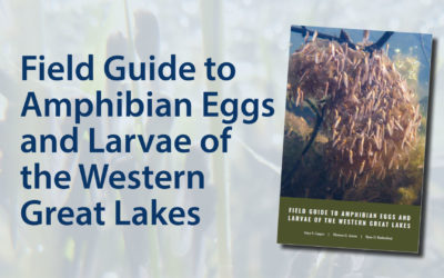 New Field Guide to Amphibian Eggs and Larvae of the Western Great Lakes!