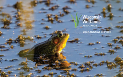 Year-end report: Working for wetlands in Wisconsin