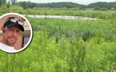 Wetland Coffee Break: Getting the most out of chemical control of wetland invasive plants with herbicide-additive systems