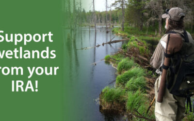 Make a gift from your IRA to support wetlands!