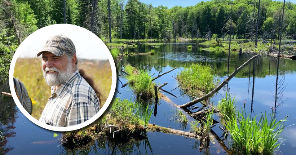 A photo of Executive Director Tracy Hames and a photo of a lush, full of water, beaver pond in Bull Gus Creek.