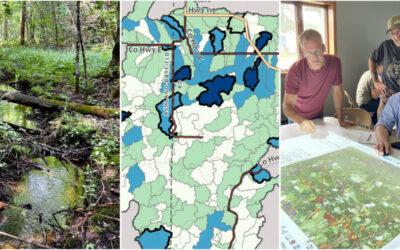 Making strides and mapping restoration opportunities