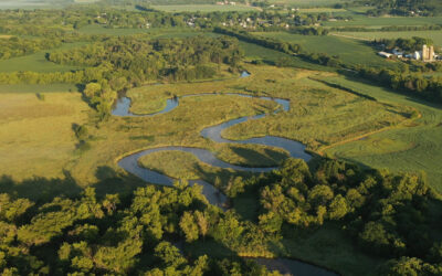 Success! Revised rule breaks down barriers to hydrology-focused wetland and stream restoration practices