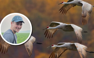 Wetland Coffee Break: Helping farmers, saving cranes