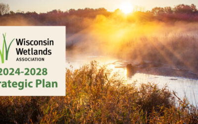 A watershed moment for Wisconsin Wetlands Association