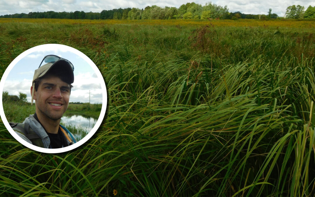 A photo of presenter Tom Pearce and a photo of a wet meadow.