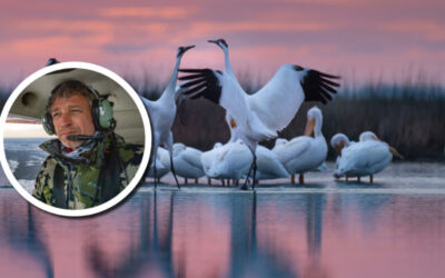 Wetland Coffee Break: Into Whooperland: A photographer’s journey with whooping cranes